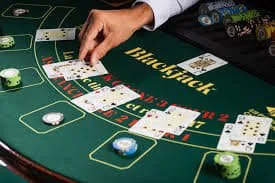 pkr100 pkr100 Casino: Live Tables, Slots and Crash Games in One Lobby